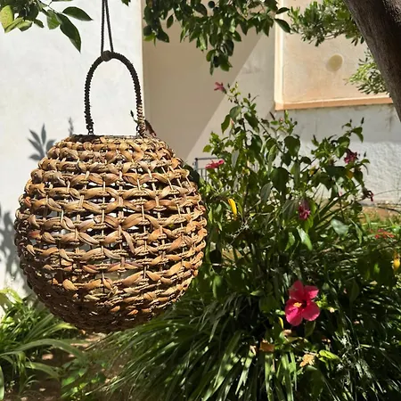 La Conchiglia Sul Mare *